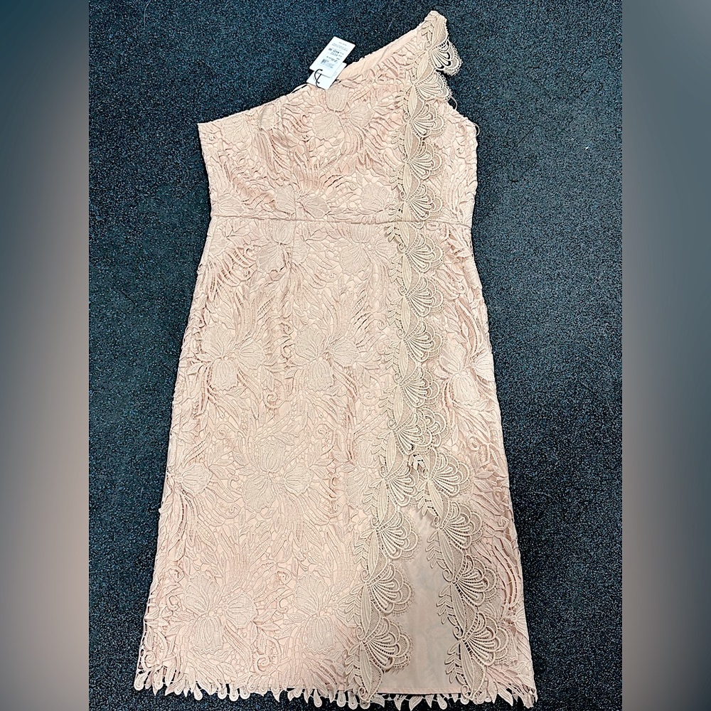 Reiss Dress